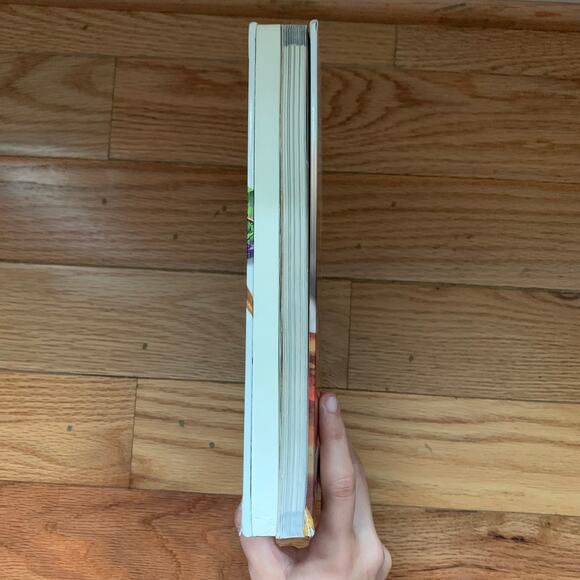 LEGO Ninjago Masters of Spinjitzu Character Encyclopedia 2012 Hardcover - Picture 5 of 9